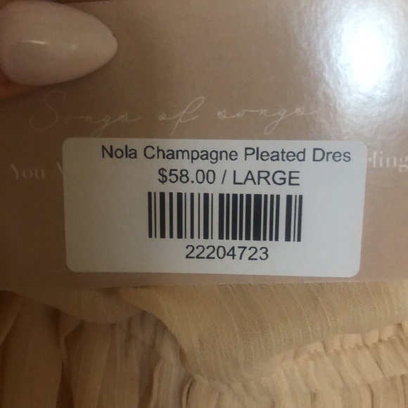 Champagne Pleated Dress- Tags Attached! Size Large - Picture 11 of 11